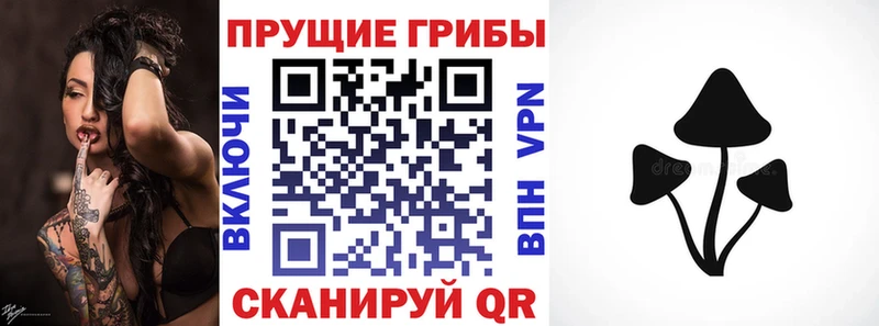 Купить где  Новоаннинский  Галлюциногенные грибы GOLDEN TEACHER 
